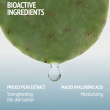 Load image into Gallery viewer, Hydramemory Light Sorbet Cream