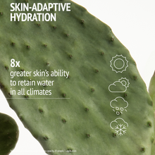 Load image into Gallery viewer, Hydramemory Light Sorbet Cream